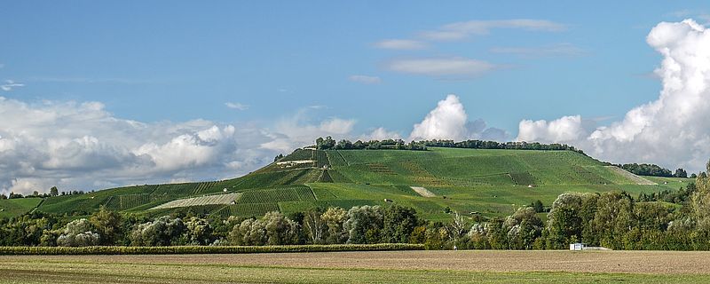 Landschaft bei Neckarsulm (c) pixabay, MonikaP